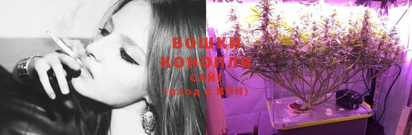 шишки Покровск