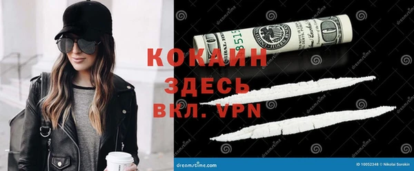 дмт Алексеевка