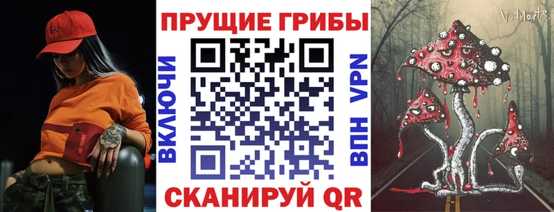 Псилоцибиновые грибы Psilocybe  Гвардейск 